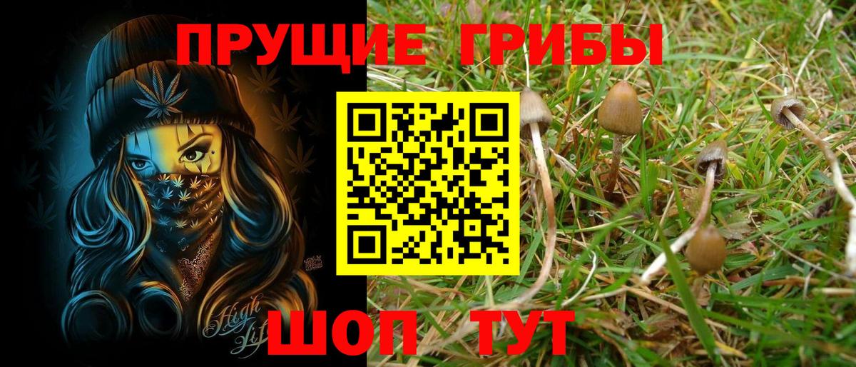 Галлюциногенные грибы MAGIC MUSHROOMS  Вход с VPN  Новокубанск 