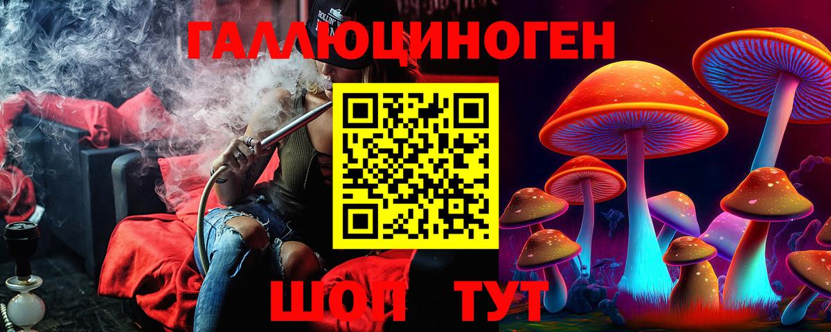 Галлюциногенные грибы Cubensis Новокубанск
